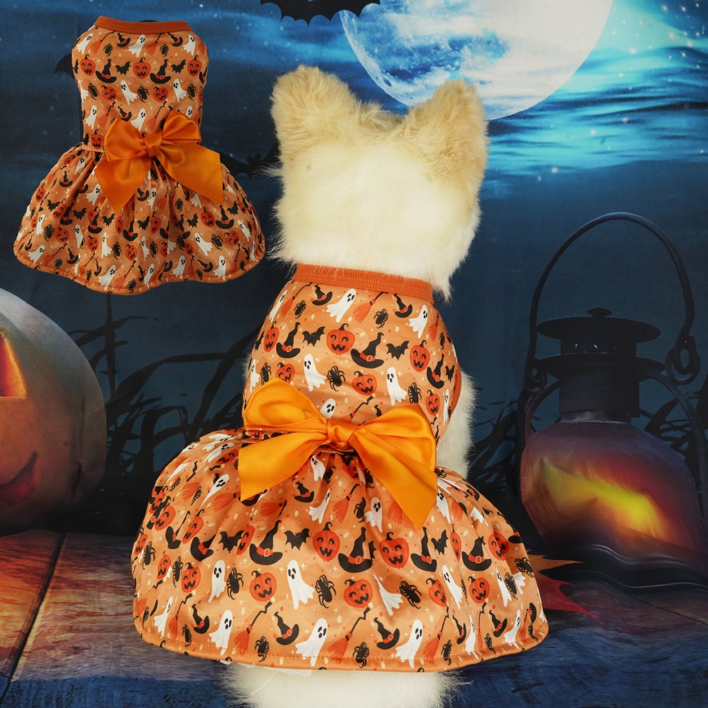 Déguisement de fête d'Halloween pour animaux de compagnie