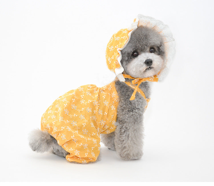 Ensemble de chapeaux mignons pour animaux de compagnie - Bleu/Blanc/Jaune