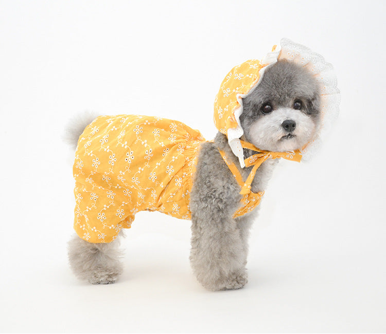 Ensemble de chapeaux mignons pour animaux de compagnie - Bleu/Blanc/Jaune
