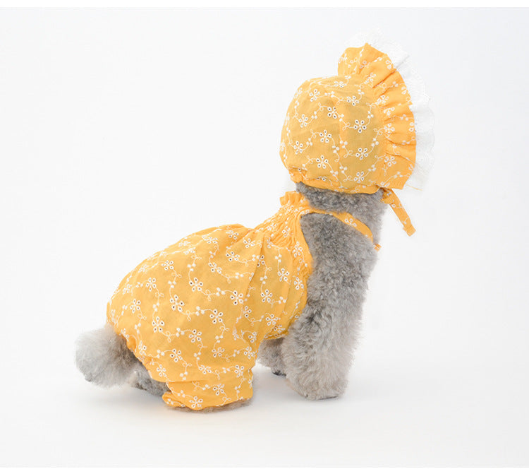 Ensemble de chapeaux mignons pour animaux de compagnie - Bleu/Blanc/Jaune