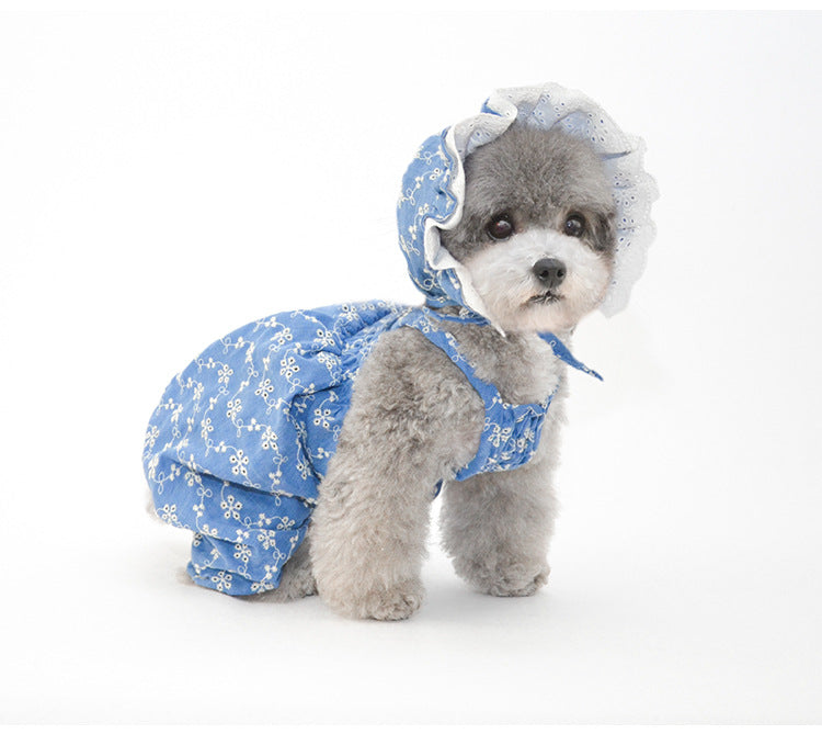 Ensemble de chapeaux mignons pour animaux de compagnie - Bleu/Blanc/Jaune