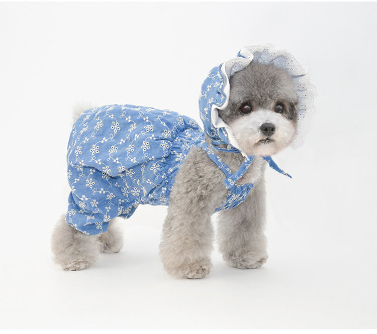 Ensemble de chapeaux mignons pour animaux de compagnie - Bleu/Blanc/Jaune