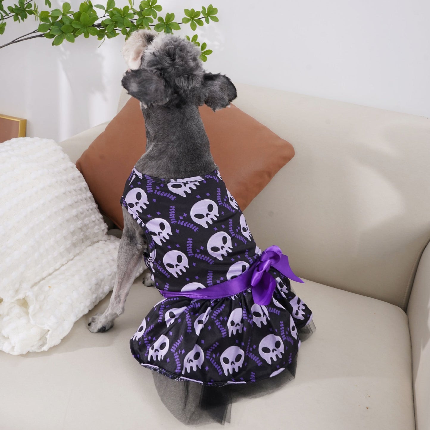 Cape d'Halloween pour chien - Motif tête de mort coloré