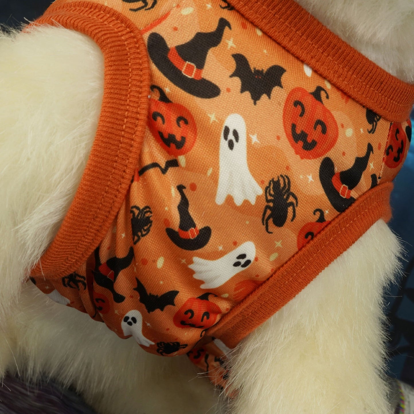 Déguisement de fête d'Halloween pour animaux de compagnie
