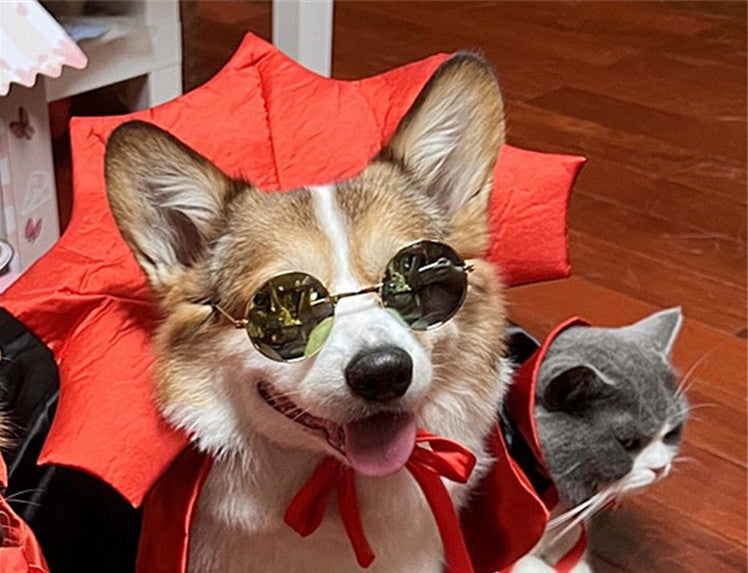 Costume d'Halloween pour animaux de compagnie - Cape du roi vampire