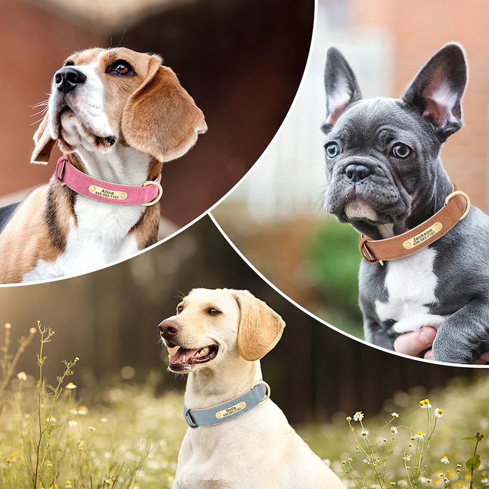 Collier pour chien gravé sur mesure - Plaque d'identification personnalisée