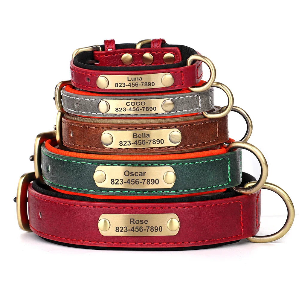 Collier pour chien gravé sur mesure - Plaque d'identification personnalisée