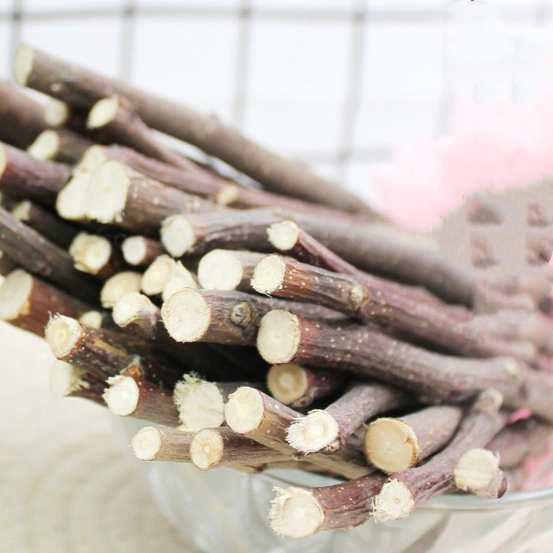 Apple Branch Bites for Small Pets - Cake Pops Parties