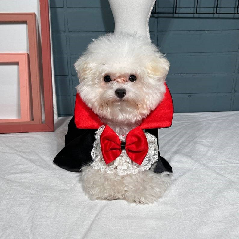 Cape de vampire d'Halloween pour animaux de compagnie