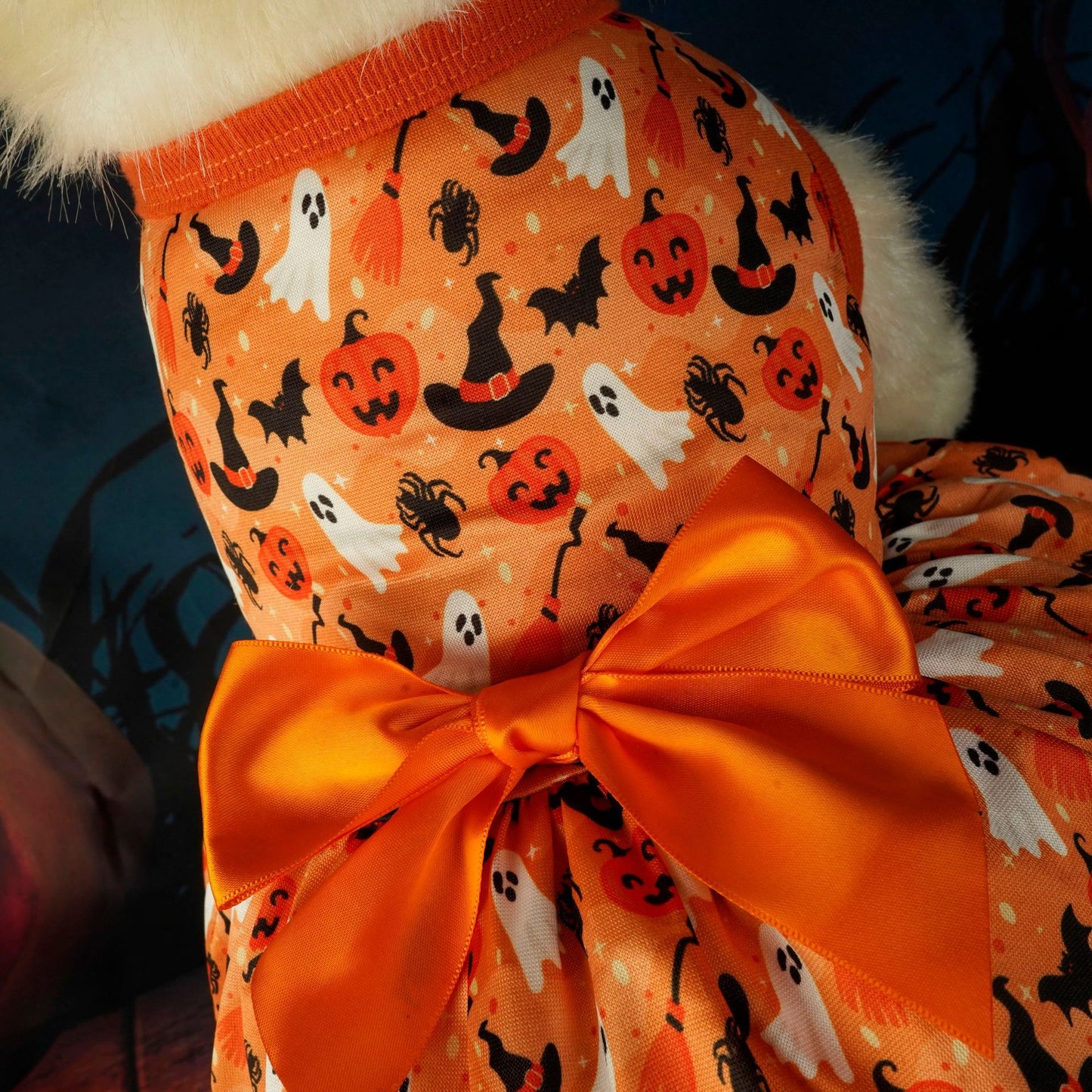Déguisement de fête d'Halloween pour animaux de compagnie