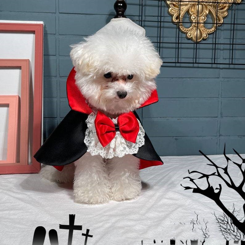 Cape de vampire d'Halloween pour animaux de compagnie
