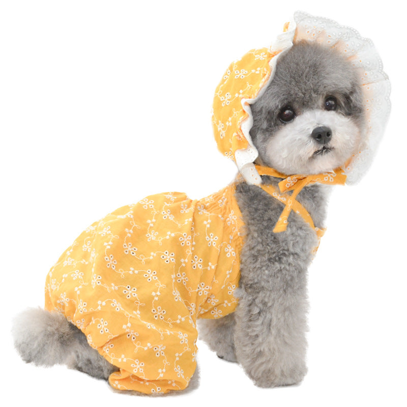 Ensemble de chapeaux mignons pour animaux de compagnie - Bleu/Blanc/Jaune
