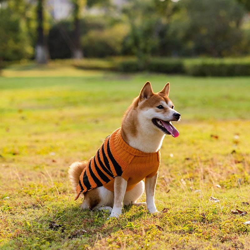 Halloween Dog Sweaters for Perfect Pet Cosplay - Cake Pops Parties
