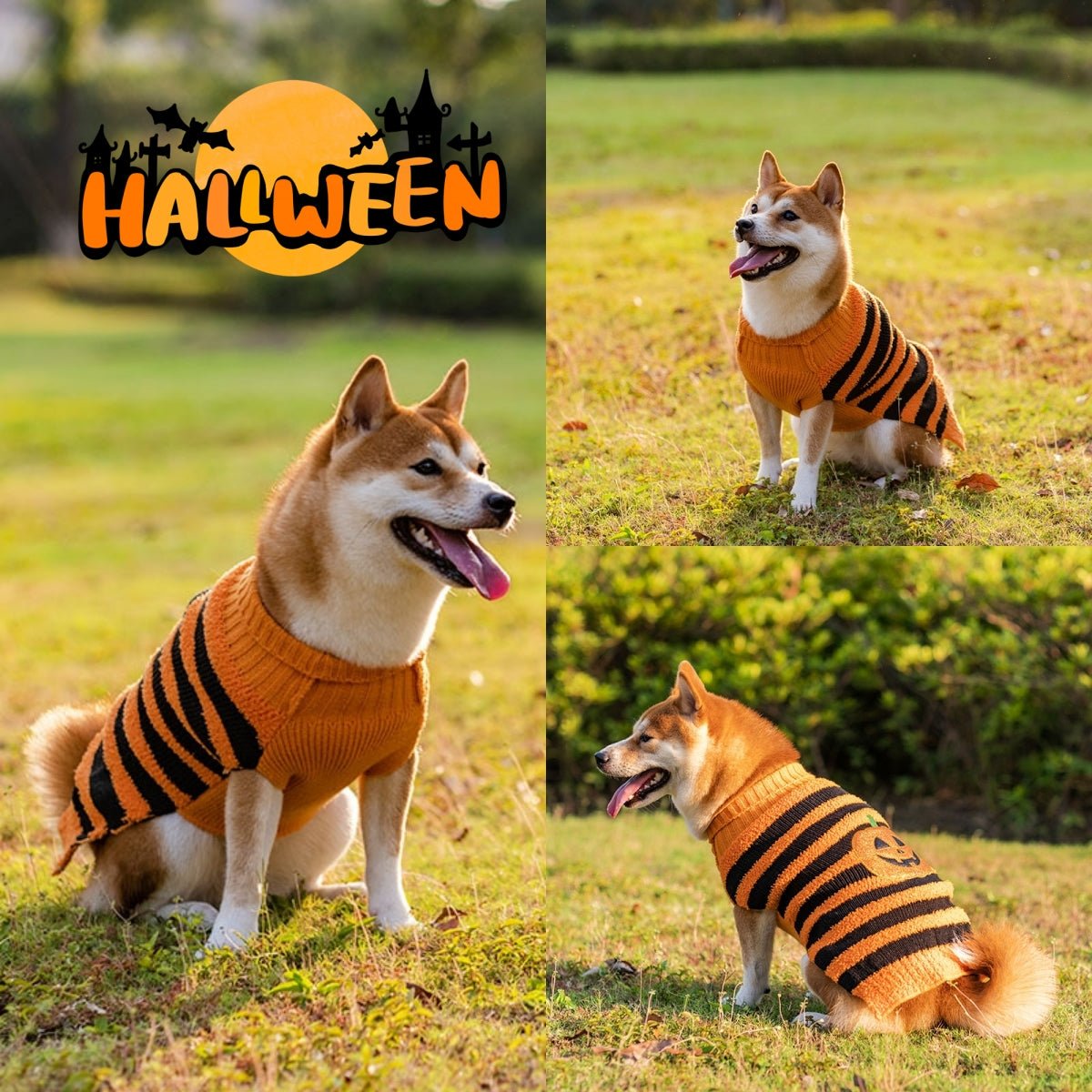 Halloween Dog Sweaters for Perfect Pet Cosplay - Cake Pops Parties