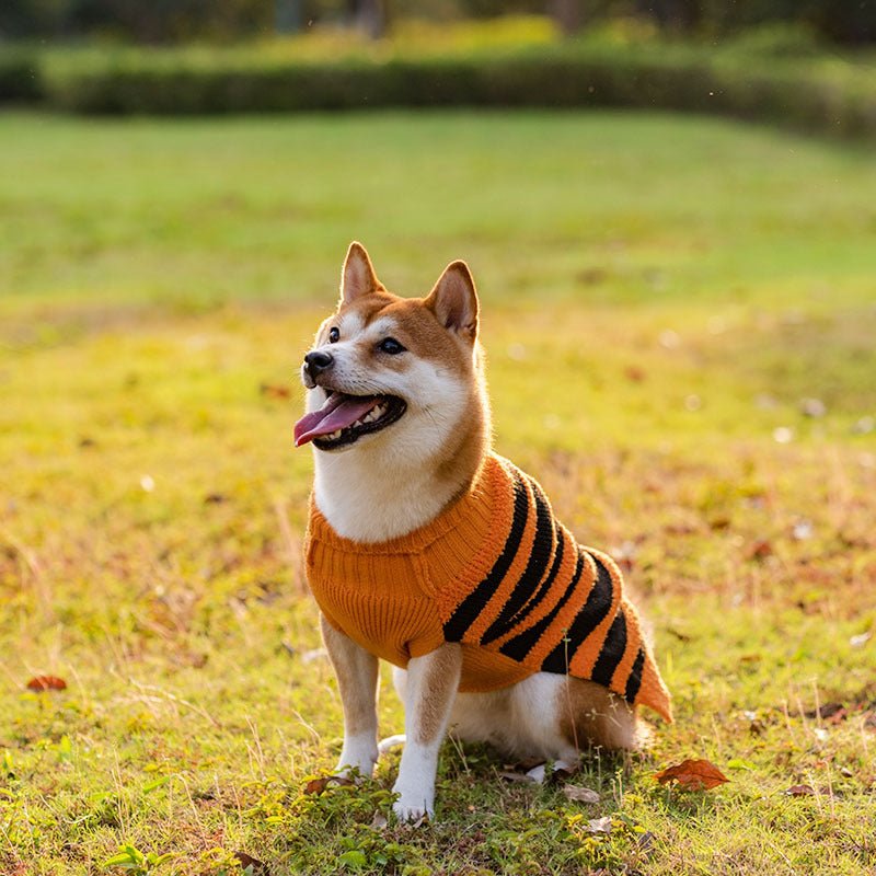 Halloween Dog Sweaters for Perfect Pet Cosplay - Cake Pops Parties