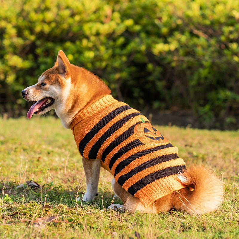 Halloween Dog Sweaters for Perfect Pet Cosplay - Cake Pops Parties