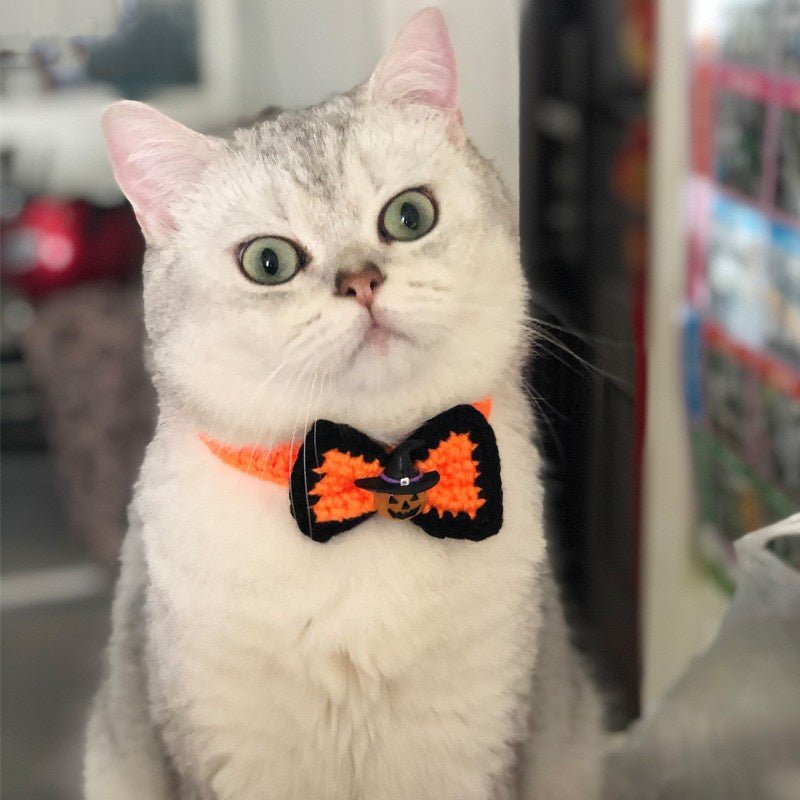 Halloween Pet Jewelry Hat - Cake Pops Parties