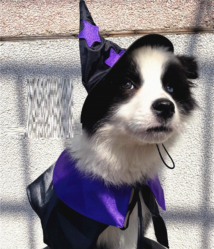 Ensemble de costumes pour animaux de compagnie Magicien magique