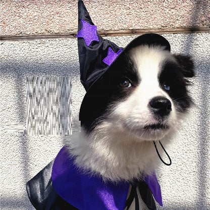 Ensemble de costumes pour animaux de compagnie Magicien magique