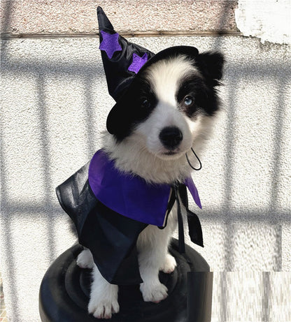 Ensemble de costumes pour animaux de compagnie Magicien magique