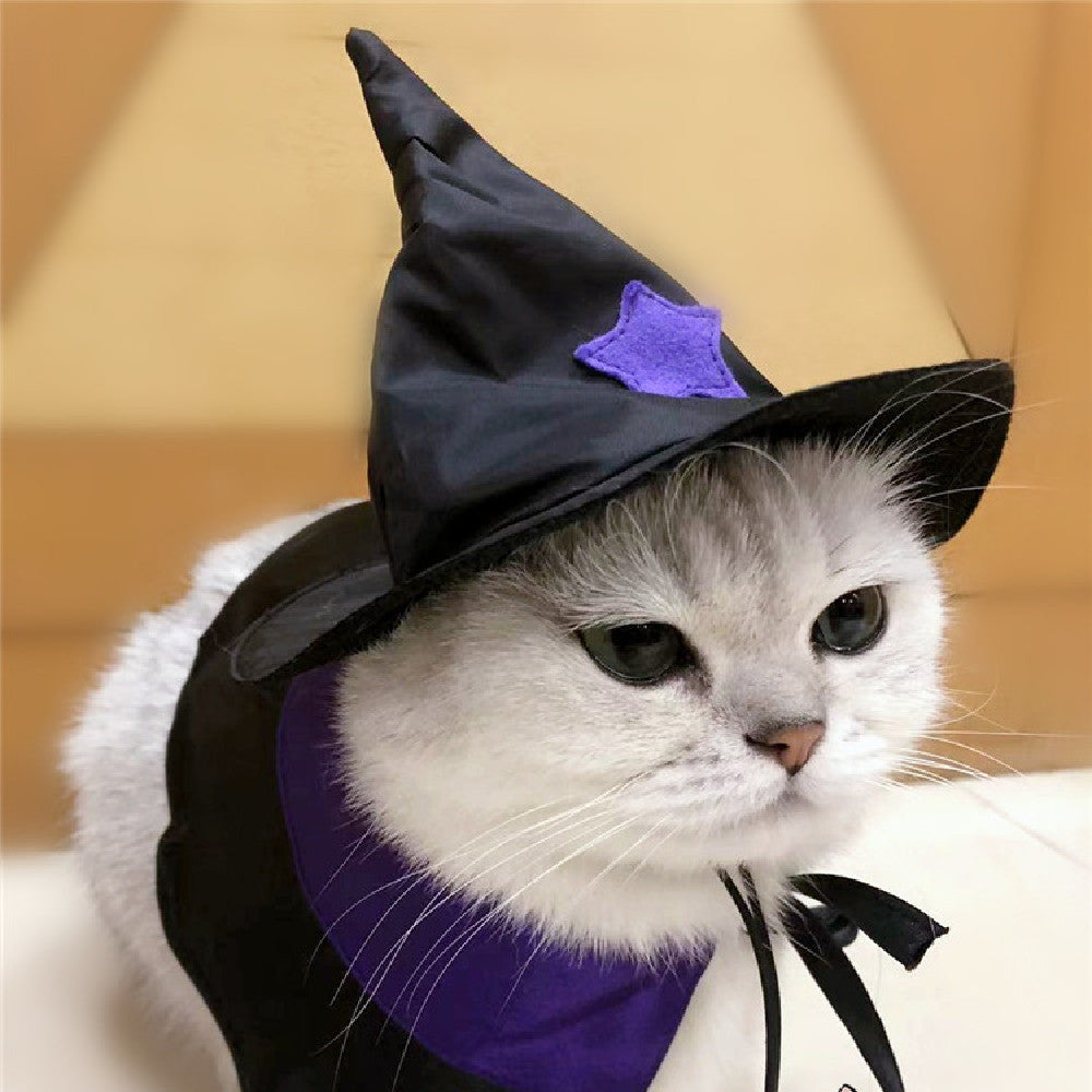 Ensemble de costumes pour animaux de compagnie Magicien magique