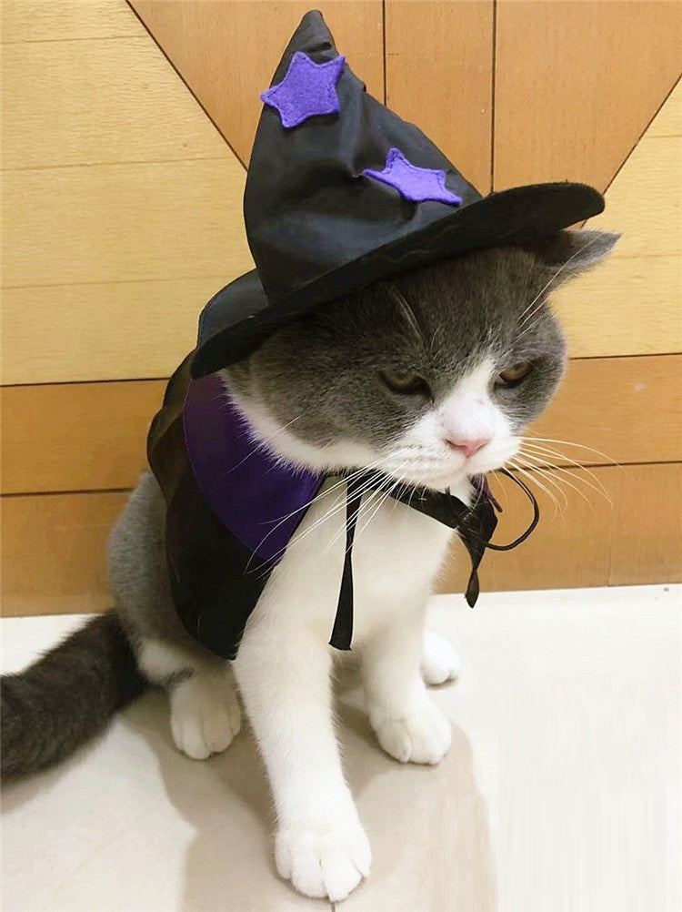 Ensemble de costumes pour animaux de compagnie Magicien magique