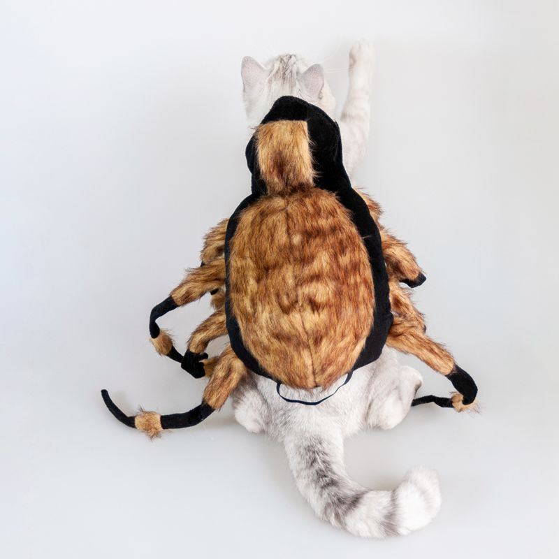 Costume d'araignée pour animal de compagnie pour Halloween Cosplay