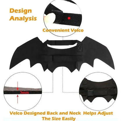 Costume d'ailes de chauve-souris pour chien pour Halloween