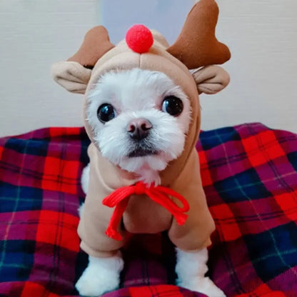 Costume d'élan amusant pour petits chiens
