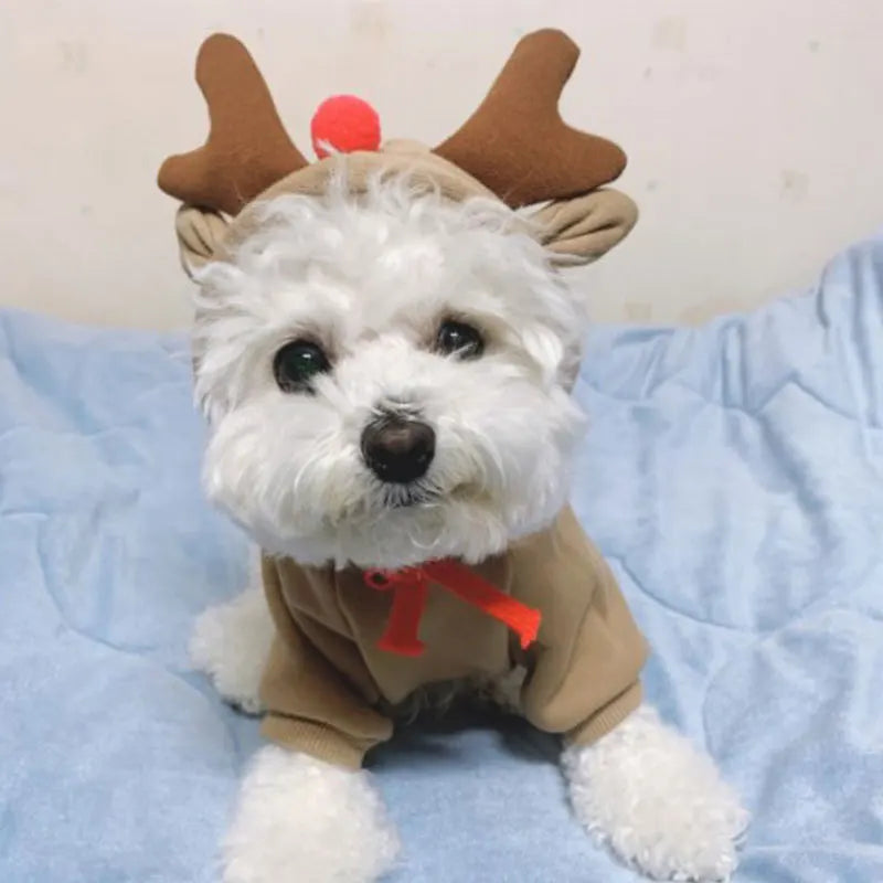 Costume d'élan amusant pour petits chiens