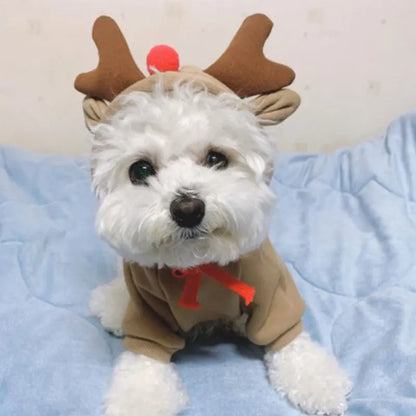 Costume d'élan amusant pour petits chiens