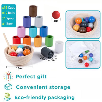 Montessori Rainbow Color Sorting Toy