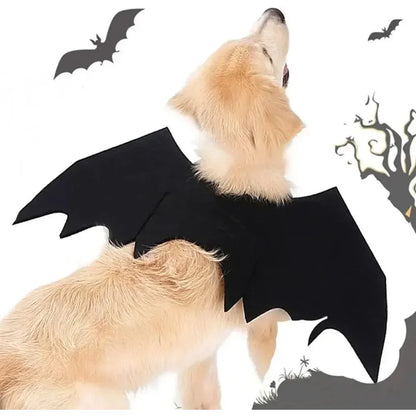 Costume d'ailes de chauve-souris pour chien pour Halloween