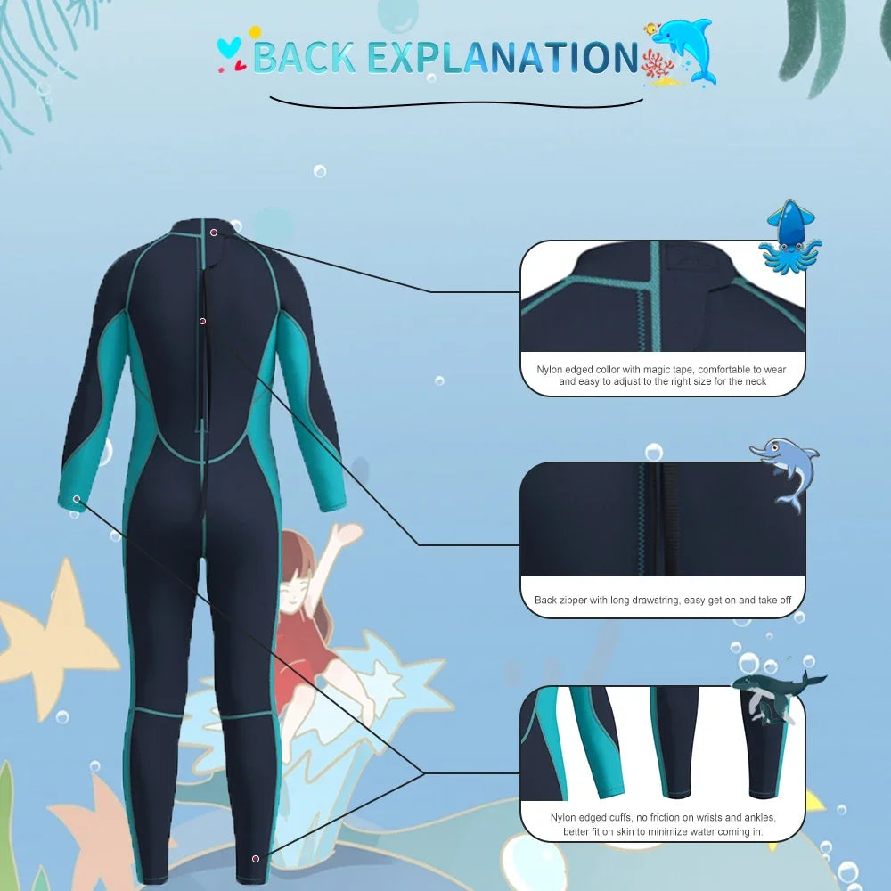 Wetsuit with back explanation on a blue background with mermaid illustrations