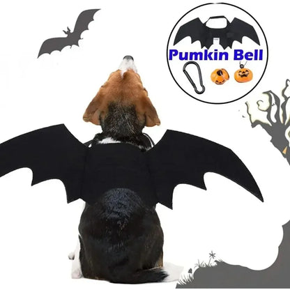 Costume d'ailes de chauve-souris pour chien pour Halloween