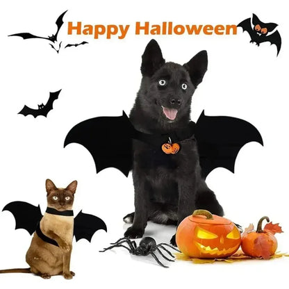 Costume d'ailes de chauve-souris pour chien pour Halloween