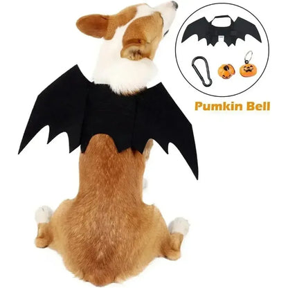 Costume d'ailes de chauve-souris pour chien pour Halloween