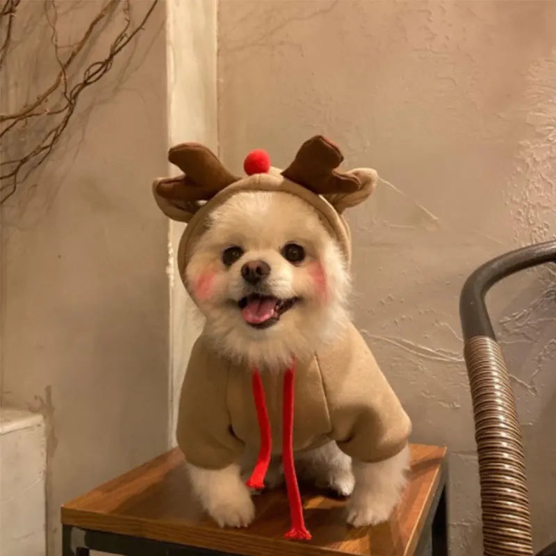 Costume d'élan amusant pour petits chiens