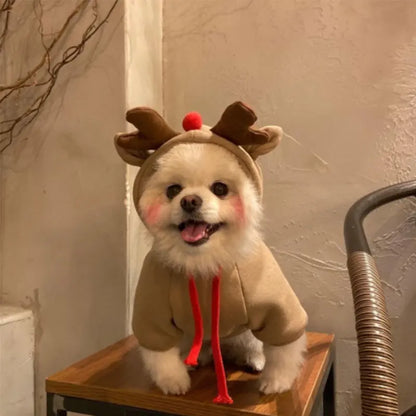 Costume d'élan amusant pour petits chiens