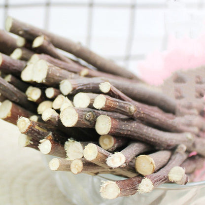 Apple Branch Bites for Small Pets - Cake Pops Parties