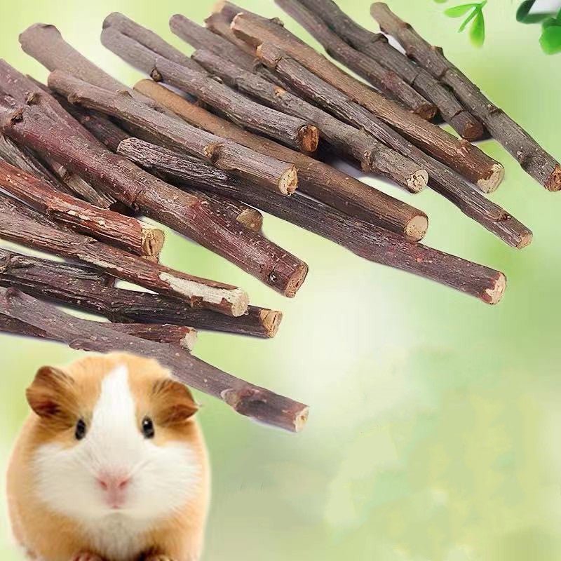 Apple Branch Bites for Small Pets - Cake Pops Parties