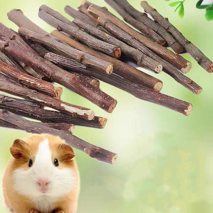 Apple Branch Bites for Small Pets - Cake Pops Parties