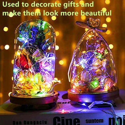 Battery - Powered Fairy Lights - 20 Pack - Cake Pops Parties