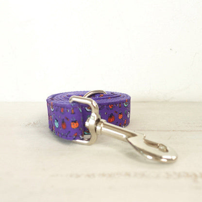 Collier pour chien violet Halloween Pet Set