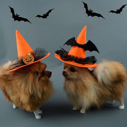 Creative Halloween Pet Hat - Cake Pops Parties