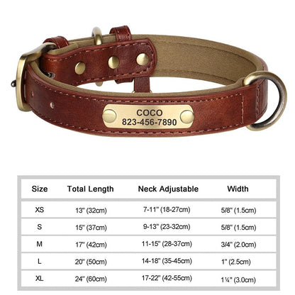 Custom Engraved Dog Collar - Personalized ID Tag Nameplate - Cake Pops Parties