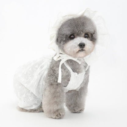 Cute Pet Hat Set - Blue/White/Yellow - Cake Pops Parties