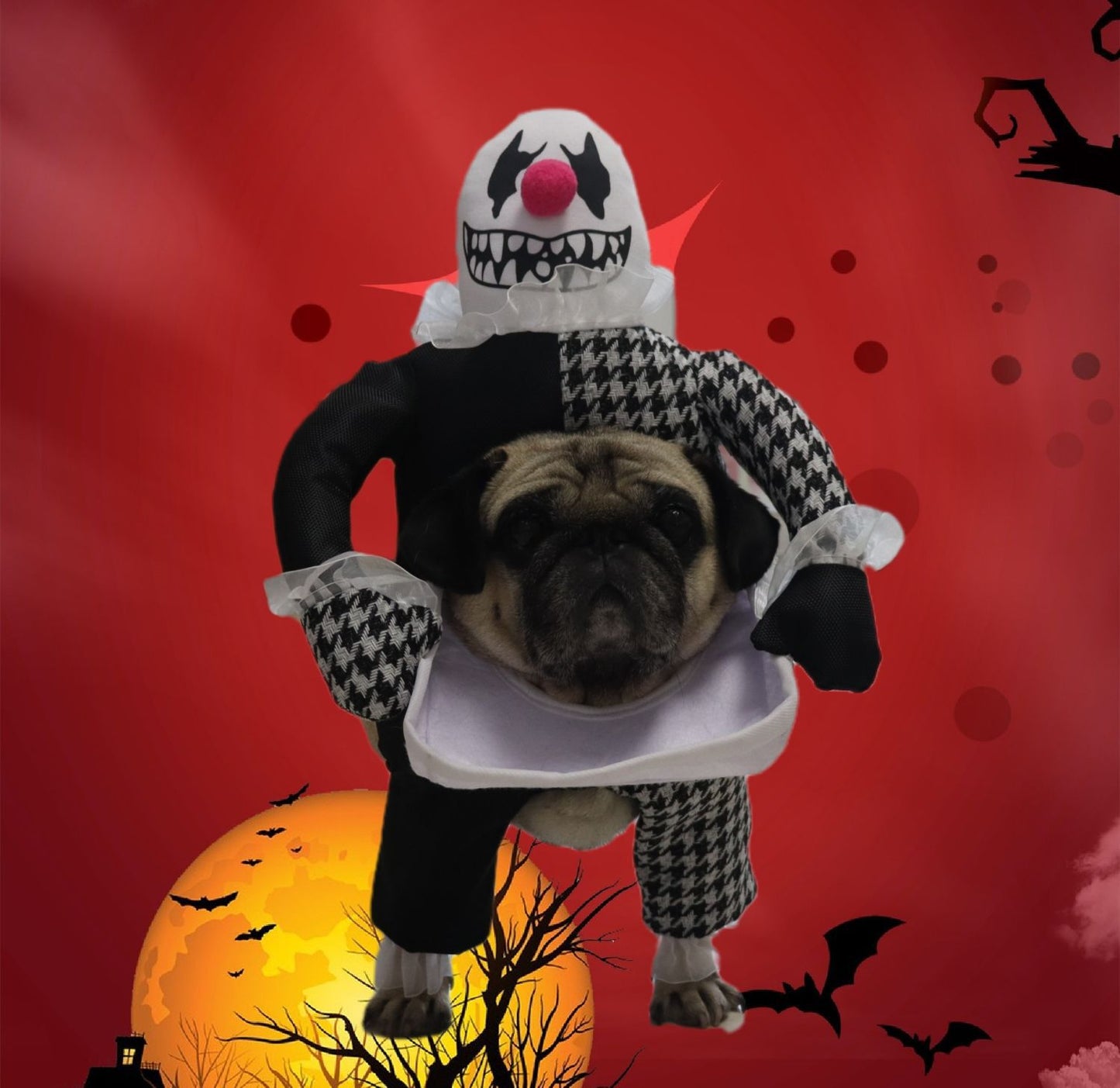Demon Transformation Halloween Pet Costume - Cake Pops Parties