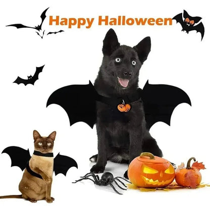 Dog Halloween Bat Wings Costume - Cake Pops Parties