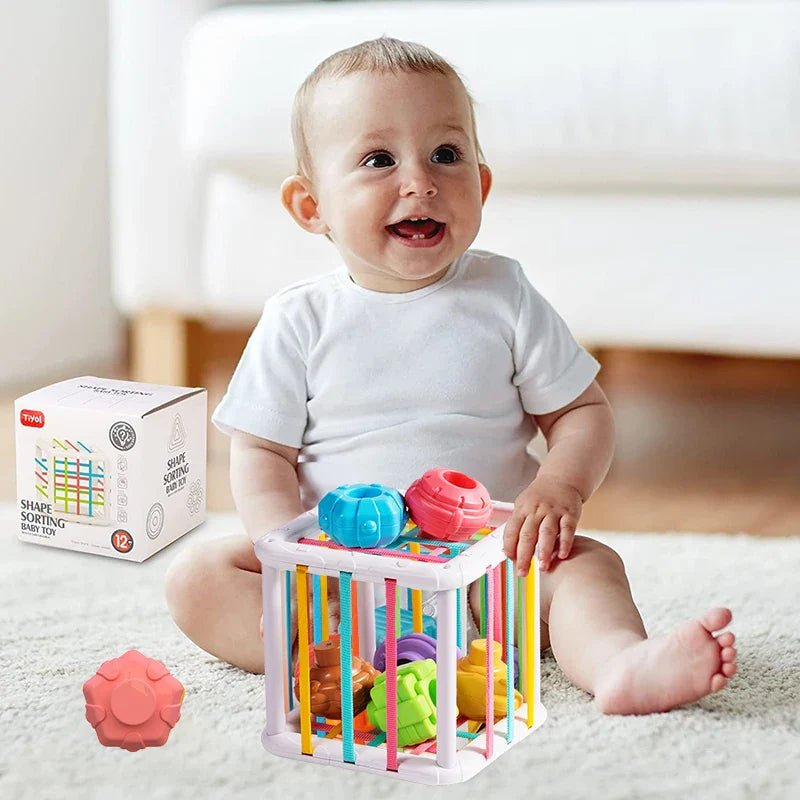 Educational Shape Sorting Baby Toy - Cake Pops Parties